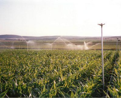 irrigation par aspersion